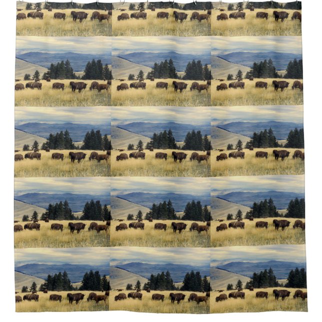 National Parks Bison Herd (Front)