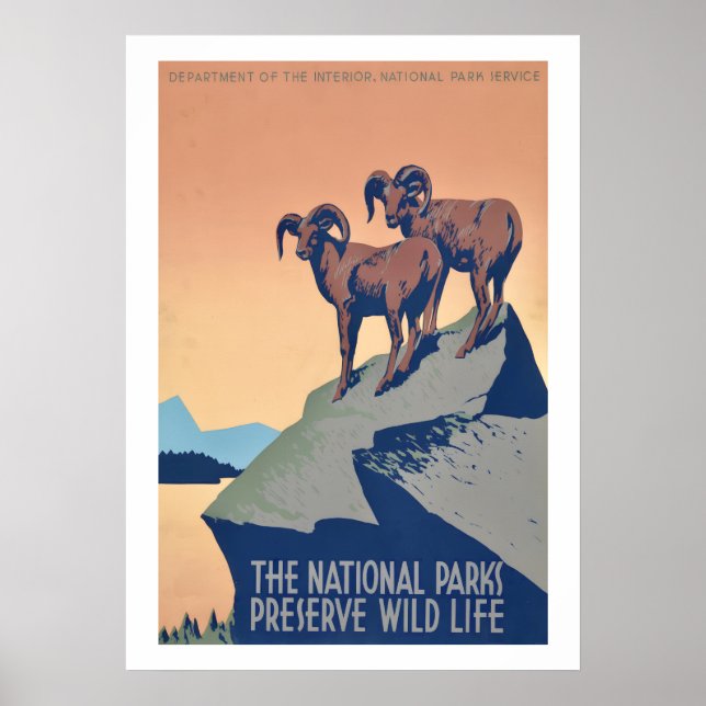 National Parks Wildlife Poster (Front)