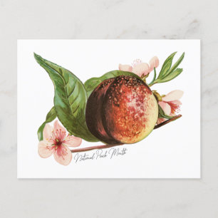 National Peach Month Postcard