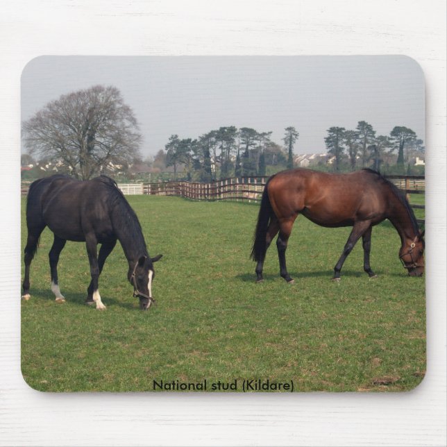 National stud mouse pad (Front)