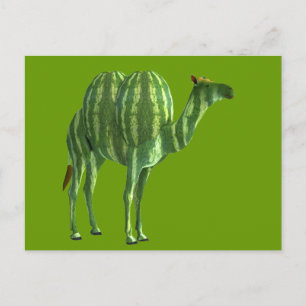 National Watermelon Day Dromedary Postcard