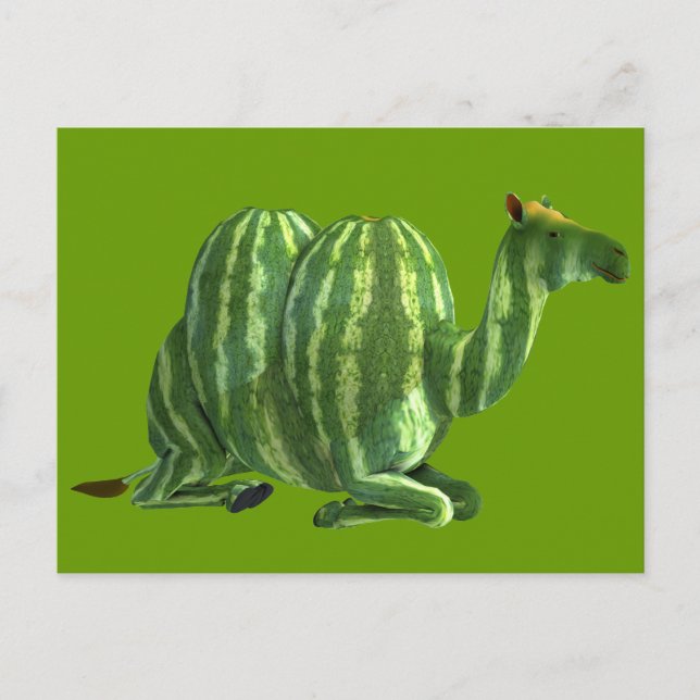 National Watermelon Day Dromedary Postcard (Front)