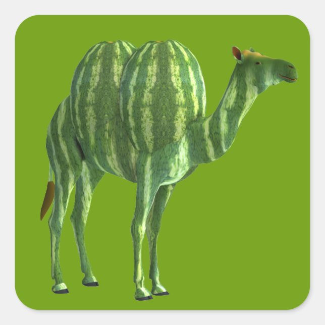 National Watermelon Day Dromedary Square Sticker (Front)
