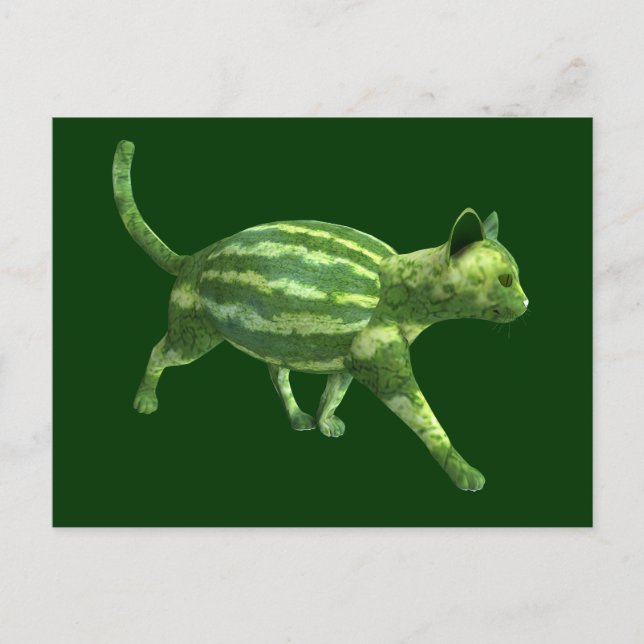 National Watermelon Day Melons Cat Postcard (Front)