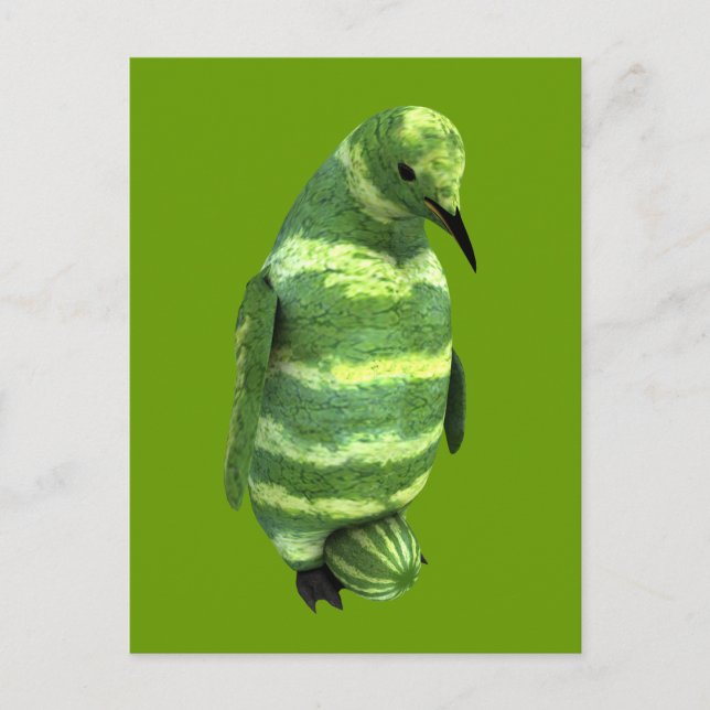 National Watermelon Day Penguin Postcard (Front)