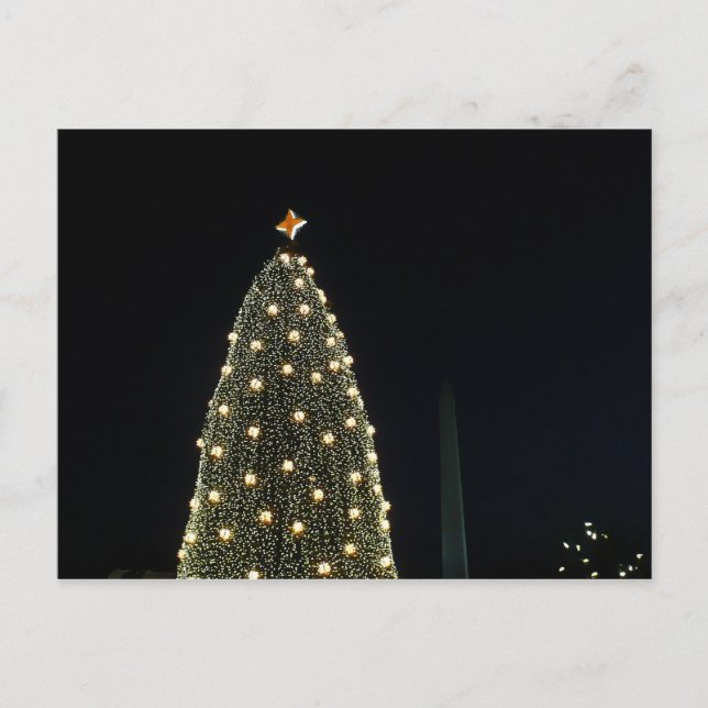 National Xmas Tree & Washington Monument at Night Holiday Postcard (Front)