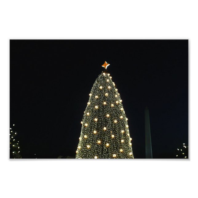 National Xmas Tree & Washington Monument at Night Photo Print (Front)