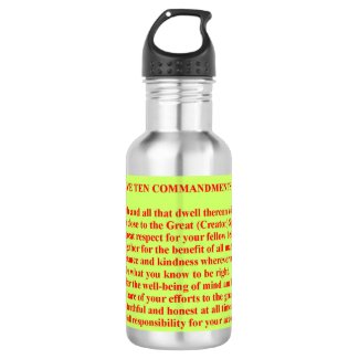 Native 10 Commandments Metal Water Bottle