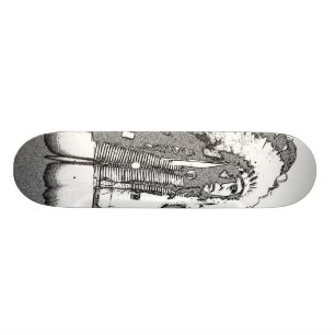 Native American Chief Skateboard