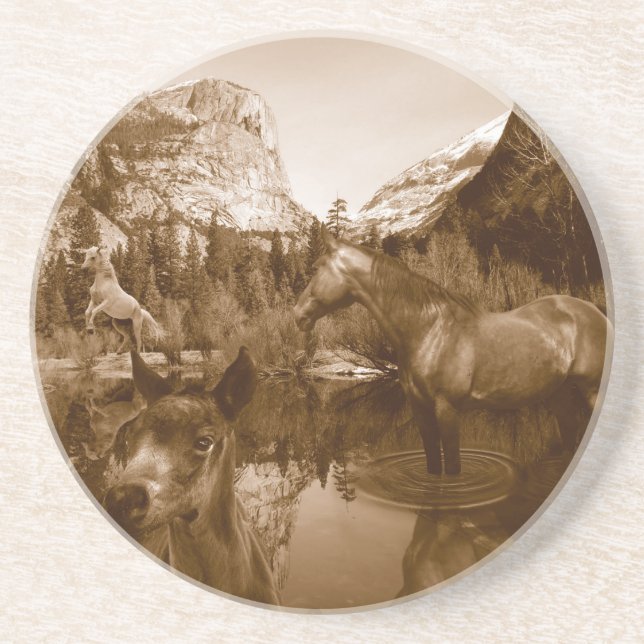 native american coaster (Front)