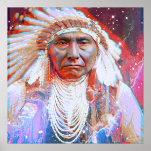 Native American  Crazy Horse Poster