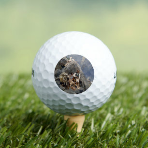 Native American Icons: Apache Warriors, US Cavalry Golf Balls