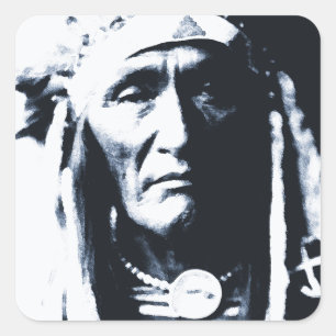 Native American Indian Apsaroke Square Sticker