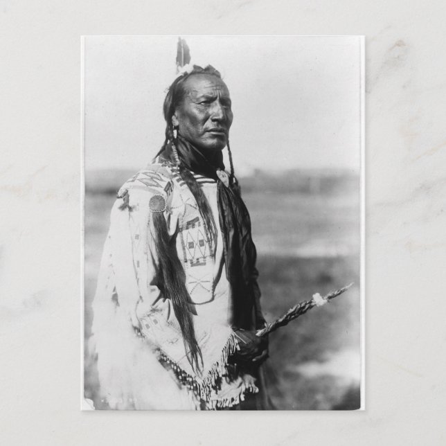 Native American Indian Vintage Portrait Postcard (Front)