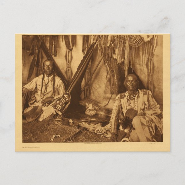 Native American Indian Vintage Portrait Postcard (Front)
