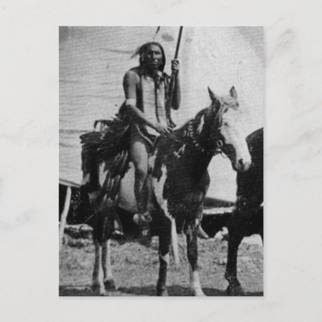 Native American Indian Vintage Portrait Postcard (Front)