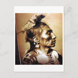 Native American Indian Vintage Portrait Postcard