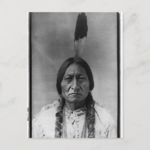 Native American Indian Vintage Portrait Postcard