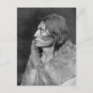 Native American Indian Vintage Portrait Postcard