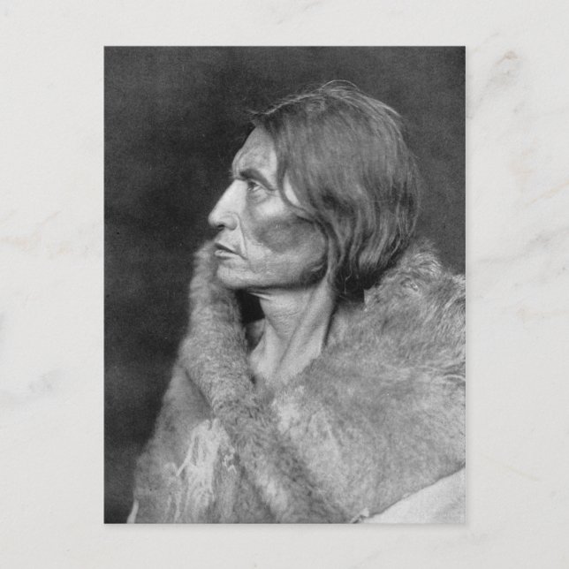 Native American Indian Vintage Portrait Postcard (Front)