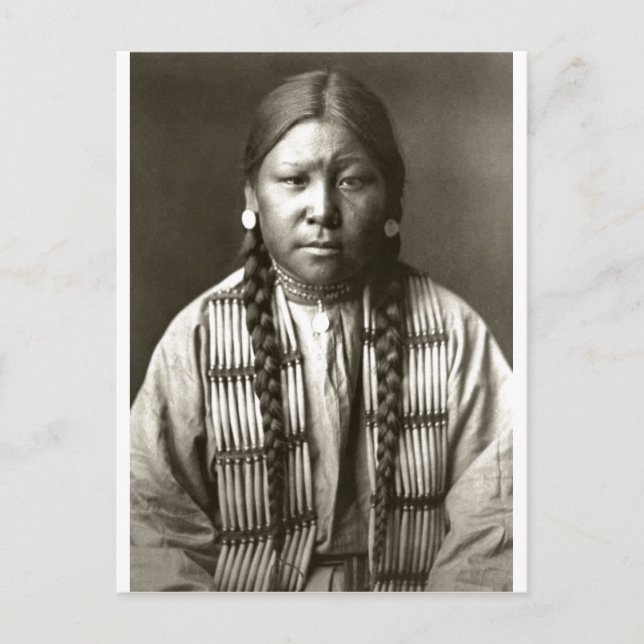 Native American Indian Vintage Portrait Postcard (Front)