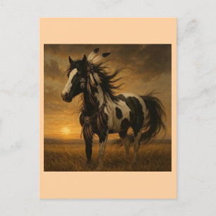 Native American Paint Horse Postcard - Koko