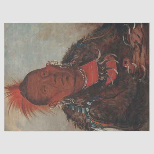 Native American Portrait 2 Decoupage Tissue Paper (Front)