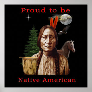 Native American Poster