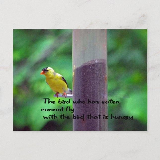 Native American Proverb Postcard (Front)