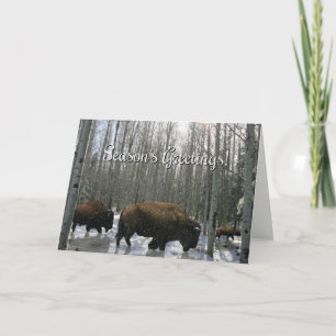 Native American Season's Greetings Buffalo Card