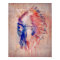 Native American Skull Poster