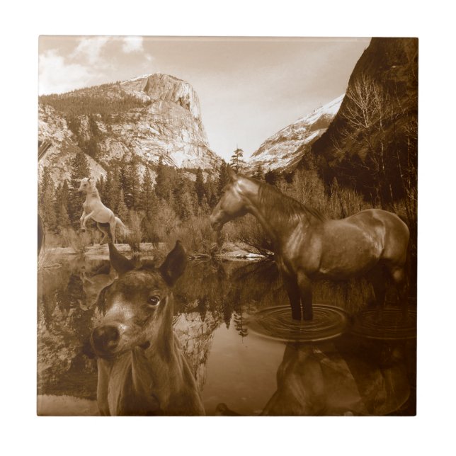 native american tile (Front)