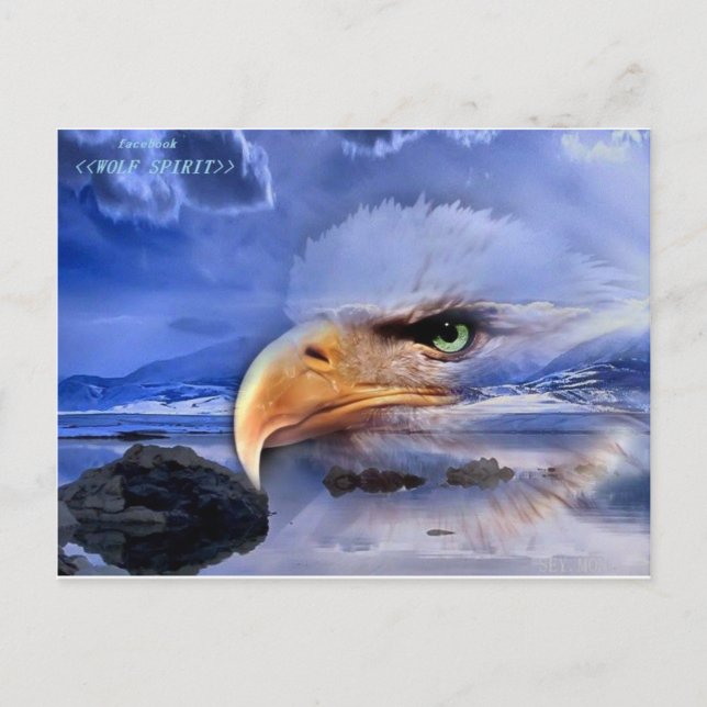 NATIVE AMERICAN / WOLF SPIRIT ART POSTCARD (Front)