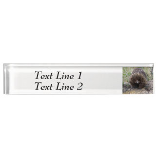 Native Australian Wild Echidna Photo Nameplate