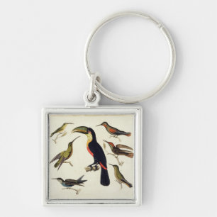 Native birds, including the Toucan (centre), Amazo Keychain
