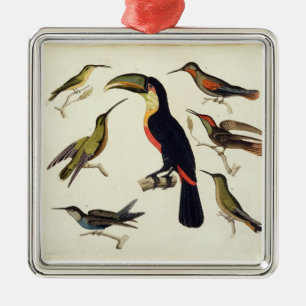Native birds, including the Toucan (centre), Amazo Metal Ornament