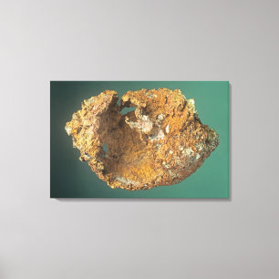 Native Copper (Cu), Michigan, USA Canvas Print