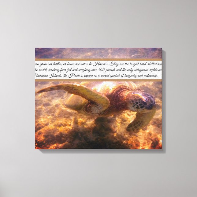 Native Hawaiian turtle Canvas Print (Front)