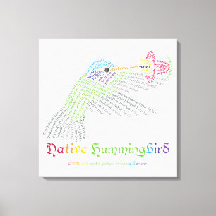 Native Hummingbird Canvas Print