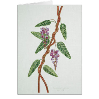 Native lilac Card
