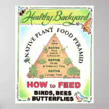 Native Plant Pyramid poster