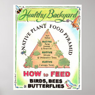 Native Plant Pyramid poster
