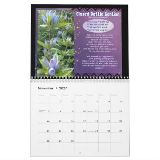 Native Plants of Indiana Calendar