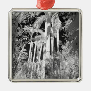 Native Royal Palms in Fakahatchee Strand, Metal Ornament