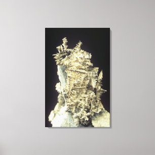 Native Silver (Ag) on limestone, Canada Canvas Print