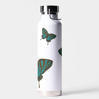 Native Swallowtail Water Bottle
