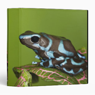 Native to Panama Binder