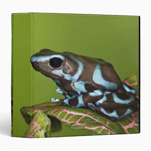 Native to Panama Binder (Front/Spine)