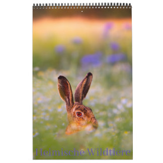 Native Wildlife Calendar