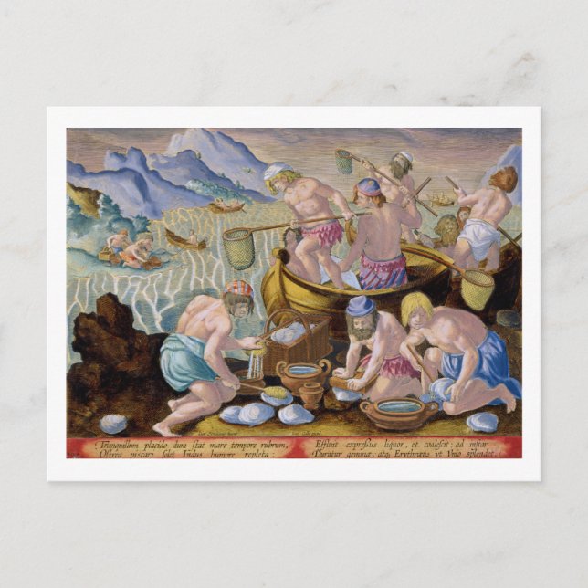 Natives Fishing for Giant Clams on the Indus, plat Postcard (Front)